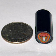 Load image into Gallery viewer, Dave Strobel Mushroom Cane
