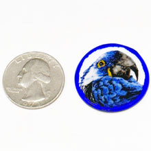 Load image into Gallery viewer, Antonio Dei Rossi Blue Parrot Coin (2014)
