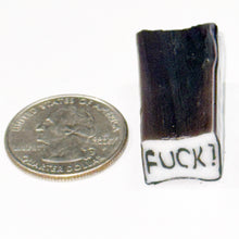 Load image into Gallery viewer, Greg Chase FUCK! cane
