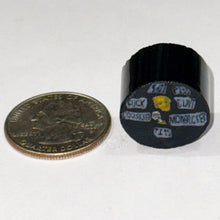 Load image into Gallery viewer, Greg Chase George Carlin 7 Words You Can’t Say On TV Cane
