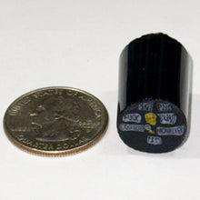 Load image into Gallery viewer, Greg Chase George Carlin 7 Words You Can’t Say On TV Cane
