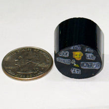 Load image into Gallery viewer, Greg Chase George Carlin 7 Words You Can’t Say On TV Cane
