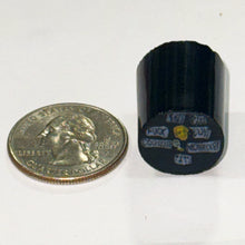 Load image into Gallery viewer, Greg Chase George Carlin 7 Words You Can’t Say On TV Cane
