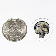 Load image into Gallery viewer, Robert Koch Honeycomb Bee Skull Coin
