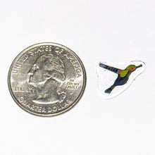 Load image into Gallery viewer, Robert Koch Hummingbird Coin
