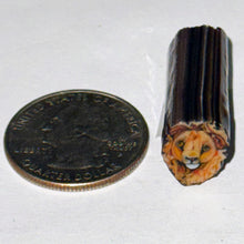 Load image into Gallery viewer, Stephen Boehme Lion Cane (No Clear)
