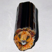 Load image into Gallery viewer, Stephen Boehme Lion Cane (No Clear)
