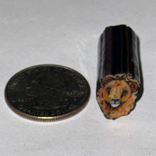 Load image into Gallery viewer, Stephen Boehme Lion Cane (No Clear)

