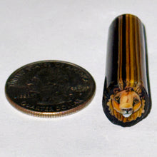 Load image into Gallery viewer, Stephen Boehme Lion Cane
