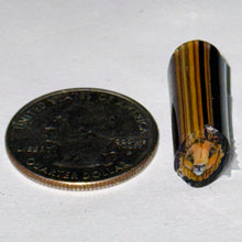 Load image into Gallery viewer, Stephen Boehme Lion Cane
