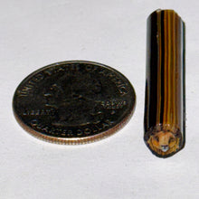 Load image into Gallery viewer, Stephen Boehme Lion Cane
