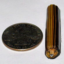 Load image into Gallery viewer, Stephen Boehme Lion Cane
