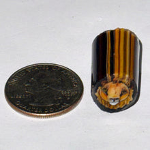 Load image into Gallery viewer, Stephen Boehme Lion Cane
