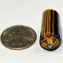 Load image into Gallery viewer, Stephen Boehme Lion Cane
