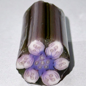 Stephen Boehme Flower Cane