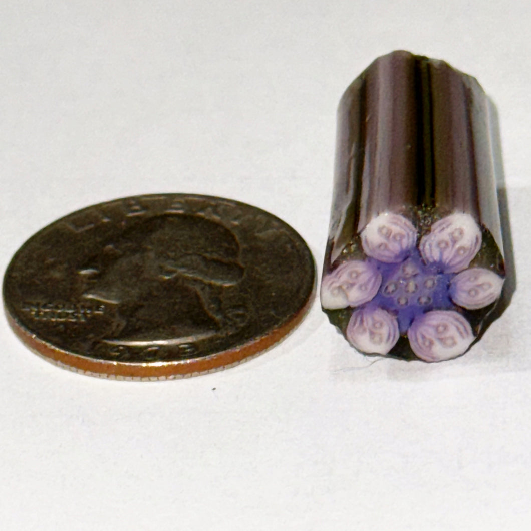 Stephen Boehme Flower Cane