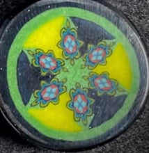 Load image into Gallery viewer, Jason Lee Radioactive Flower Coin
