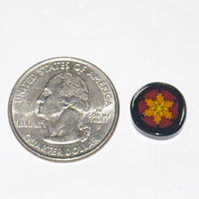 Load image into Gallery viewer, Jason Lee Leaf Star Coin
