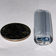 Load image into Gallery viewer, Malachi Wilkinson Seahawks Cane
