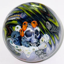 Load image into Gallery viewer, Stephen Boehme Jolly Roger Marble
