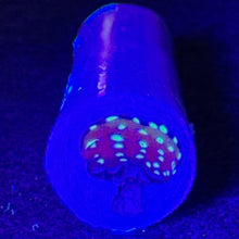 Load image into Gallery viewer, Stephen Boehme UV Mushroom Cane
