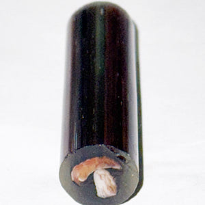 Stephen Boehme UV Mushroom Cane