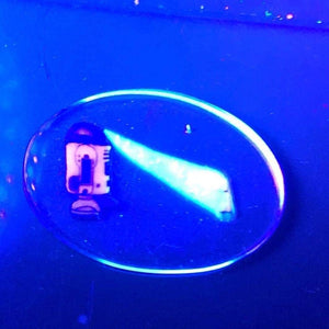 Josh McDaniel R2-D2 Projecting Princess Leia Cane- 8.39gs