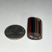 Load image into Gallery viewer, Stephen Boehme Spiny Radioactive Fish Cane
