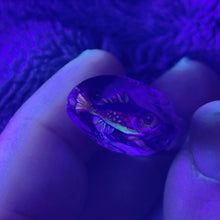 Load image into Gallery viewer, Stephen Boehme Spiny Radioactive Fish Cane
