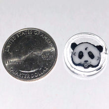 Load image into Gallery viewer, BadCat Glass Panda Coin
