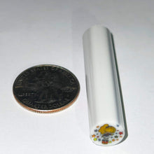 Load image into Gallery viewer, Beth James Rainbow Bright Cane

