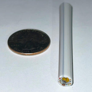 Beth James Rainbow Bright Cane