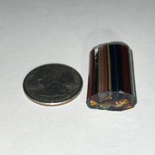 Load image into Gallery viewer, Stephen Boehme Spiny Radioactive Fish Cane

