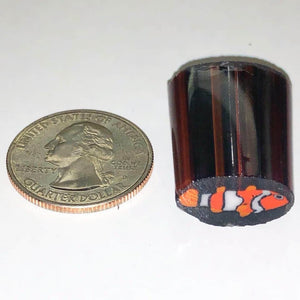 Greg Chase Clown Fish Cane