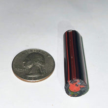 Load image into Gallery viewer, Stephen Boehme Patrick Cane (w/Clear)

