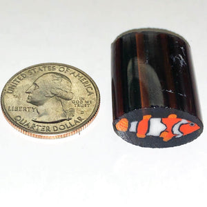 Greg Chase Clown Fish Cane