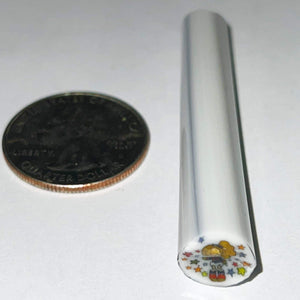 Beth James Rainbow Bright Cane