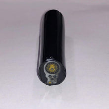 Load image into Gallery viewer, Dapo Glass Lion &amp; Stealin Cane
