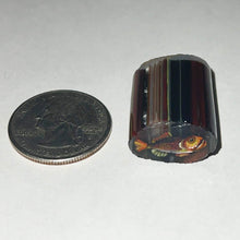 Load image into Gallery viewer, Stephen Boehme Spiny Radioactive Fish Cane
