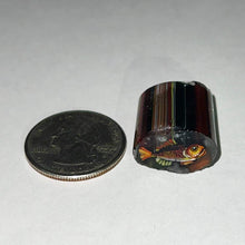 Load image into Gallery viewer, Stephen Boehme Spiny Radioactive Fish Cane
