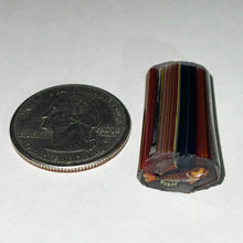 Load image into Gallery viewer, Stephen Boehme Spiny Radioactive Fish Cane
