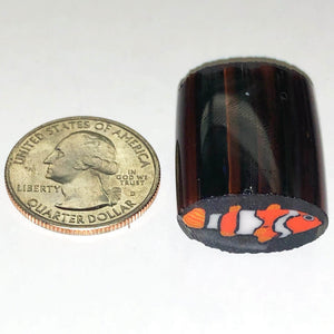 Greg Chase Clown Fish Cane