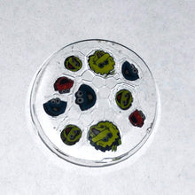 Load image into Gallery viewer, Ryan McCluer Sesame Street Cluster Coin
