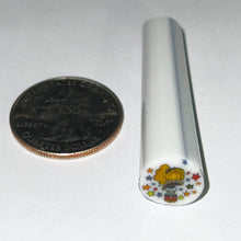 Load image into Gallery viewer, Beth James Rainbow Bright Cane
