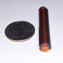 Load image into Gallery viewer, Beth James Garfield Head Cane
