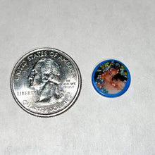 Load image into Gallery viewer, Lazuli Flux Mother and Daughter Coin
