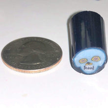 Load image into Gallery viewer, Greg Chase Blue Sugar Skull
