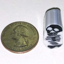 Load image into Gallery viewer, Greg Chase Skeleton Body Cane
